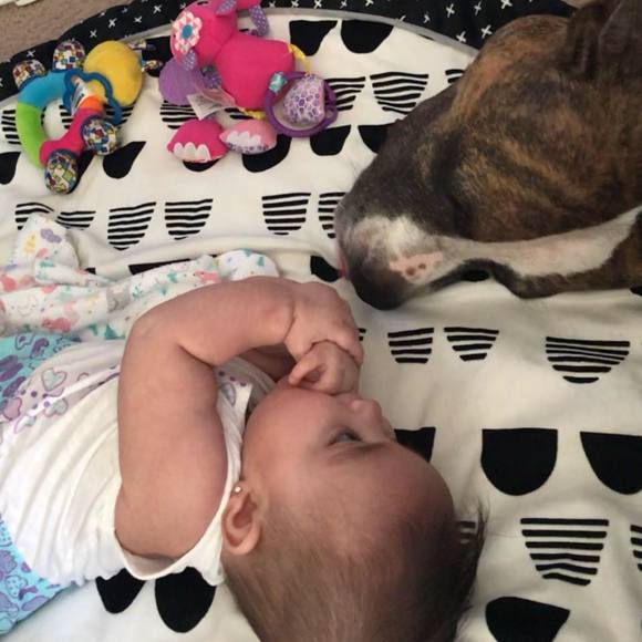 Meet your Posher, Jacob - Picture 1 of 1